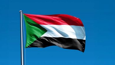 "دعوة عاجلة من الإمارات والسعودية ومصر وأميركا لوقف القتال في السودان: خطوات نحو هدنة إنسانية شاملة"