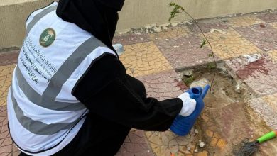 وحدة الثروة السمكية بجزر فرسان تطلق مبادرة "السعودية الخضراء" لتعزيز الاستدامة البيئية في المنطقة